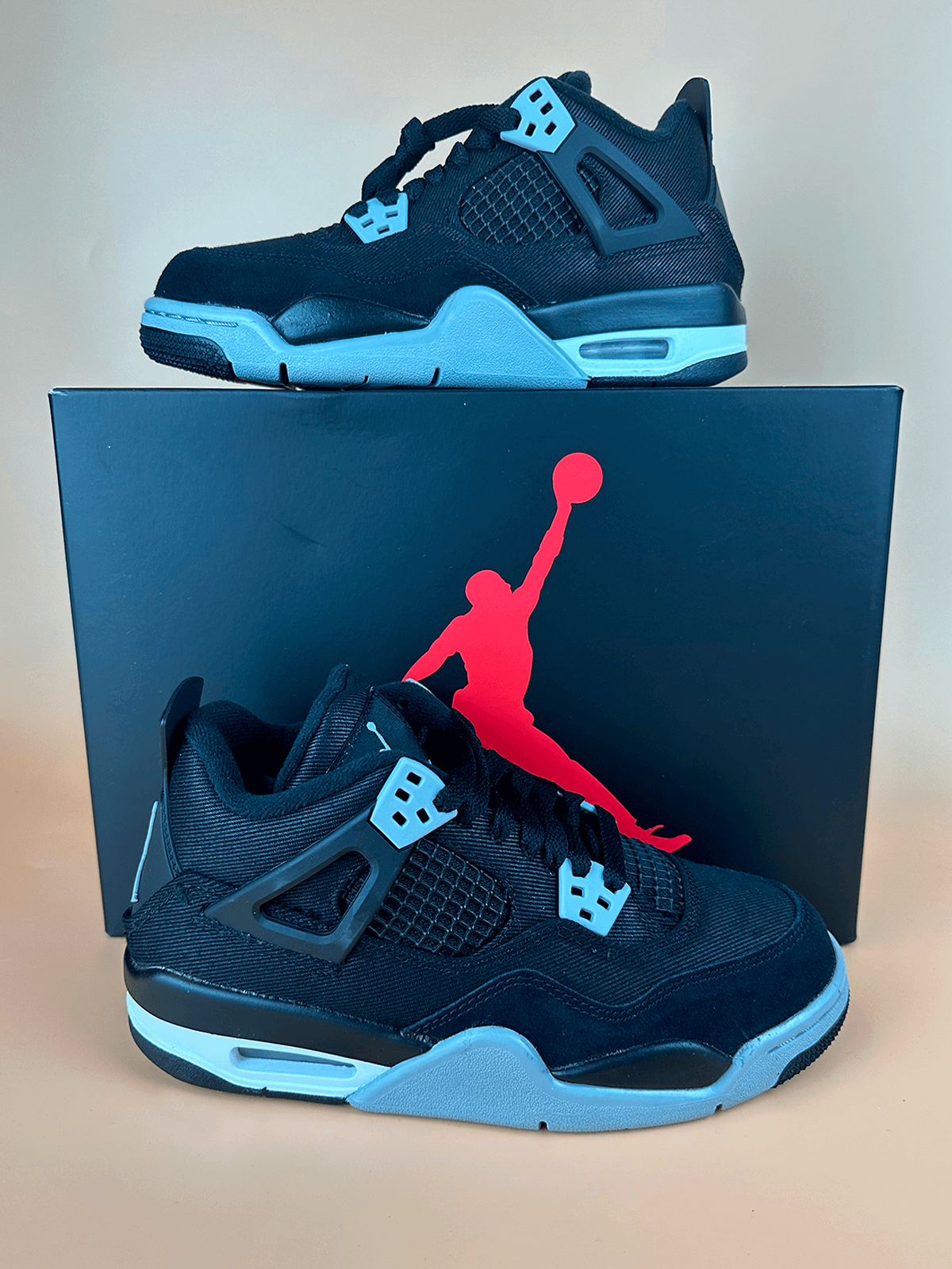 Jordan 4 Black Canvas