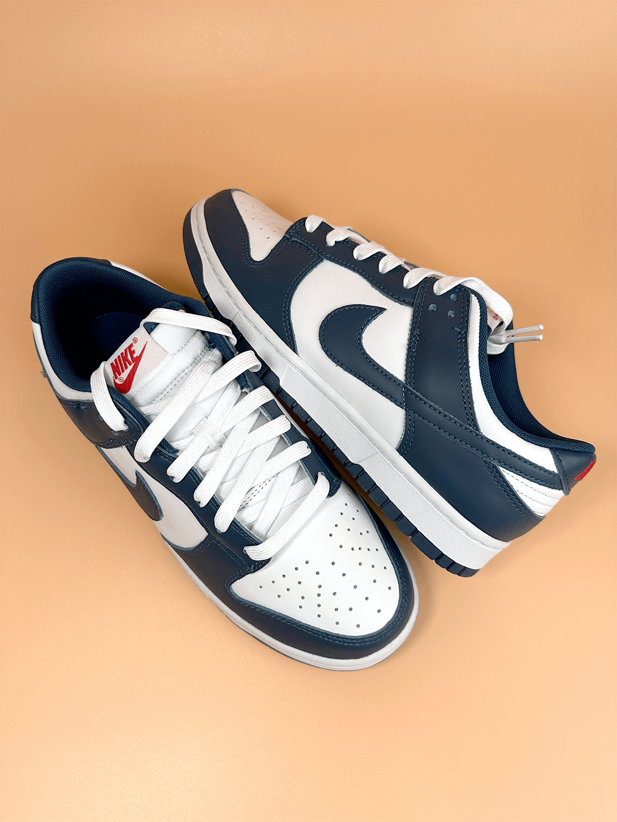 Nike Dunk Low Valerian Blue