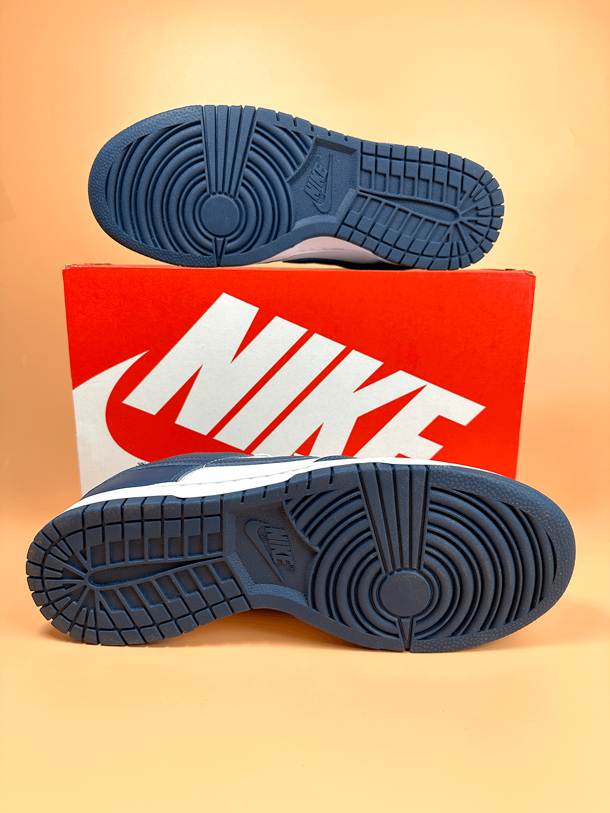 Nike Dunk Low Valerian Blue