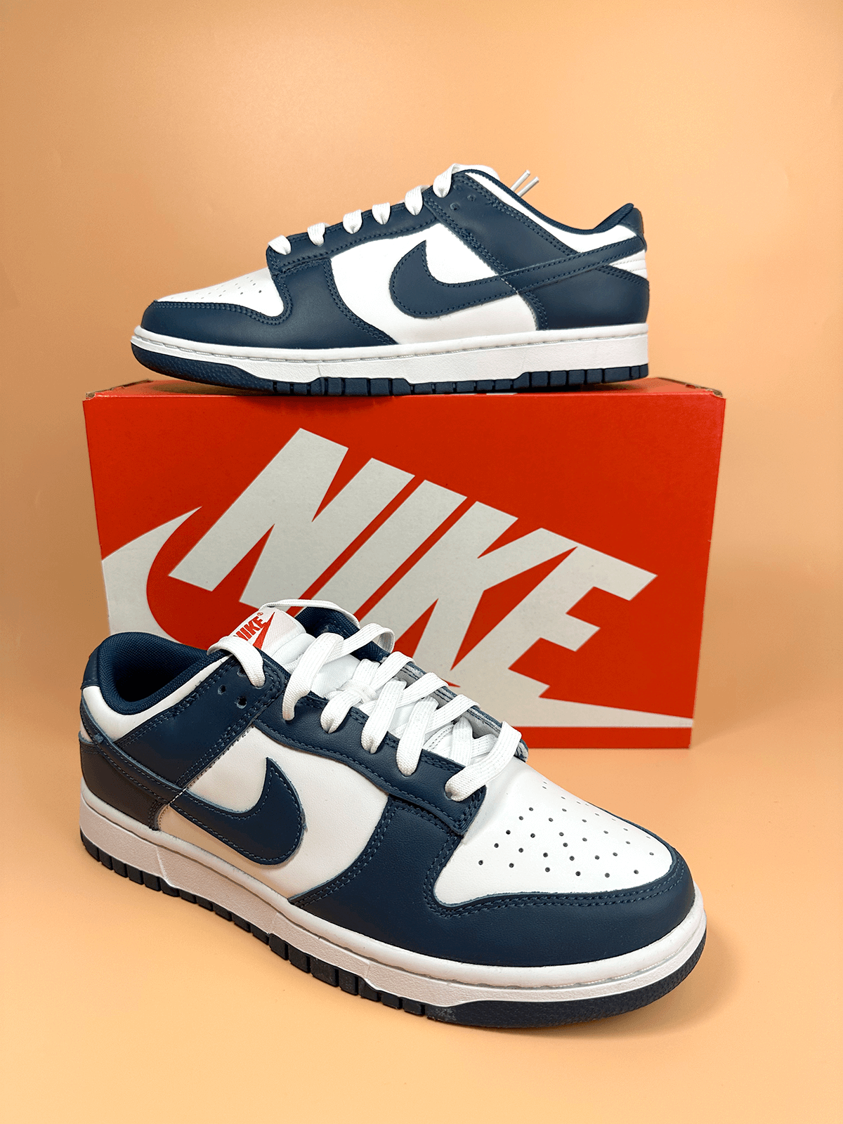 Nike Dunk Low Valerian Blue
