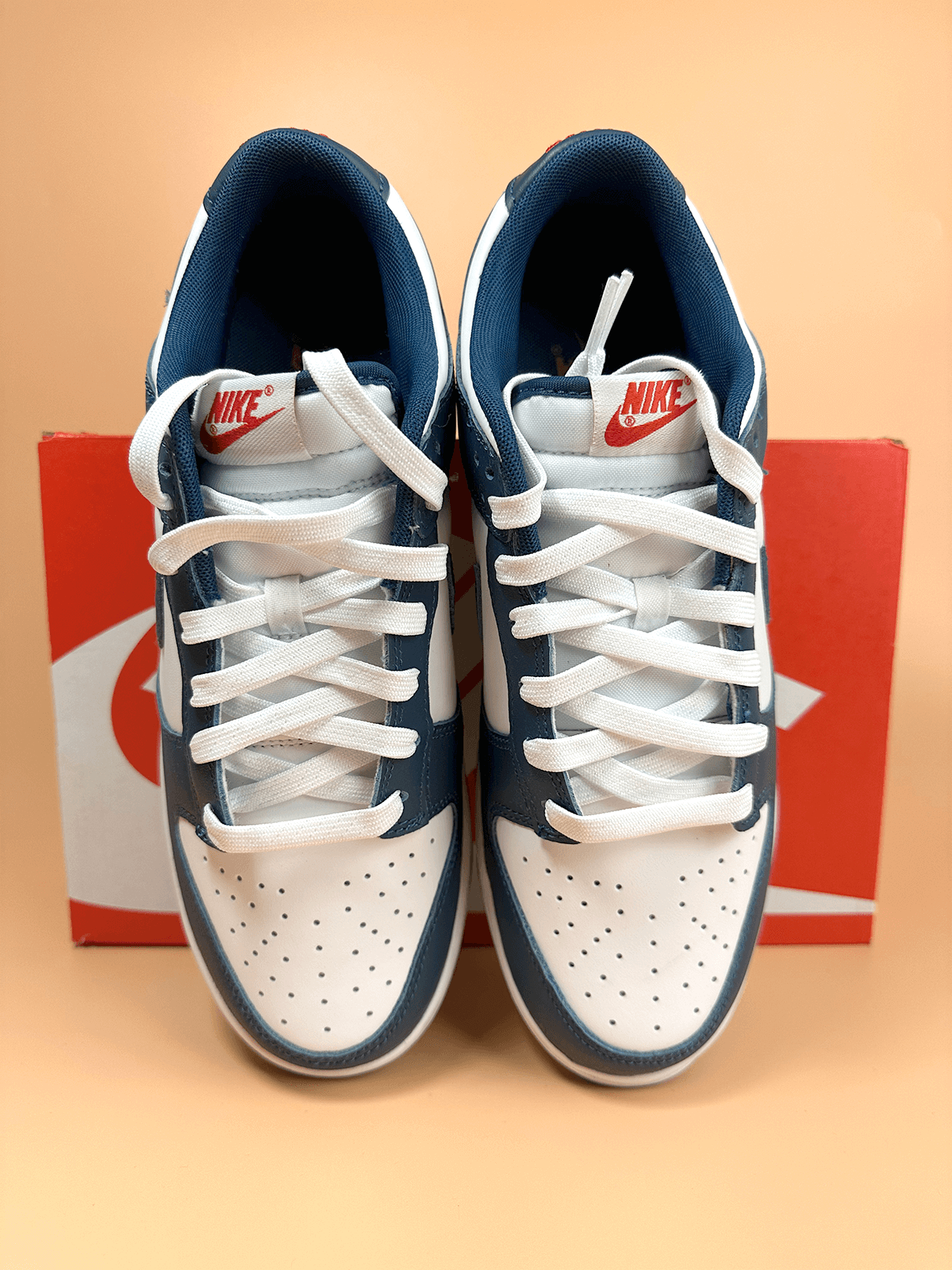 Nike Dunk Low Valerian Blue