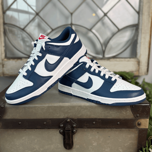 Nike Dunk Low Valerian Blue