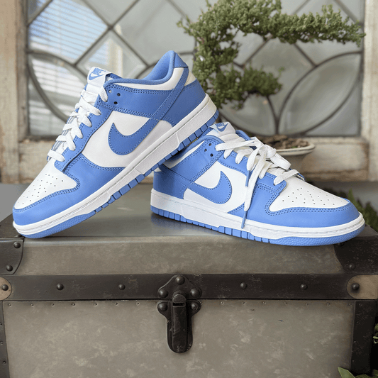 Nike Dunk Low Polar Blue