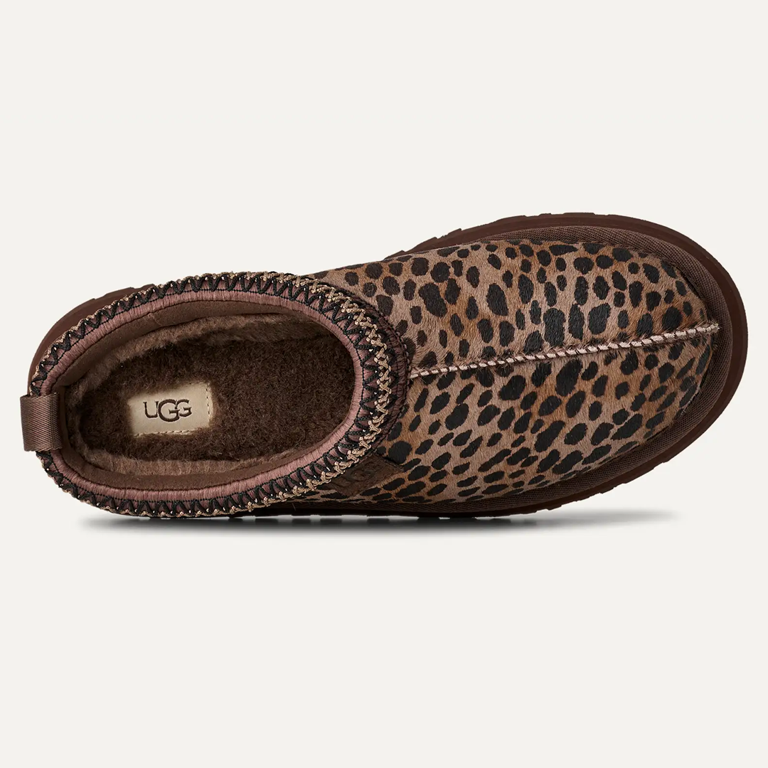 UGG Tazz Caspian Women's