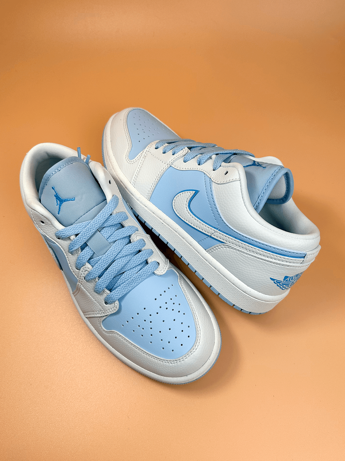 Jordan 1 Low SE Reverse Ice Blue