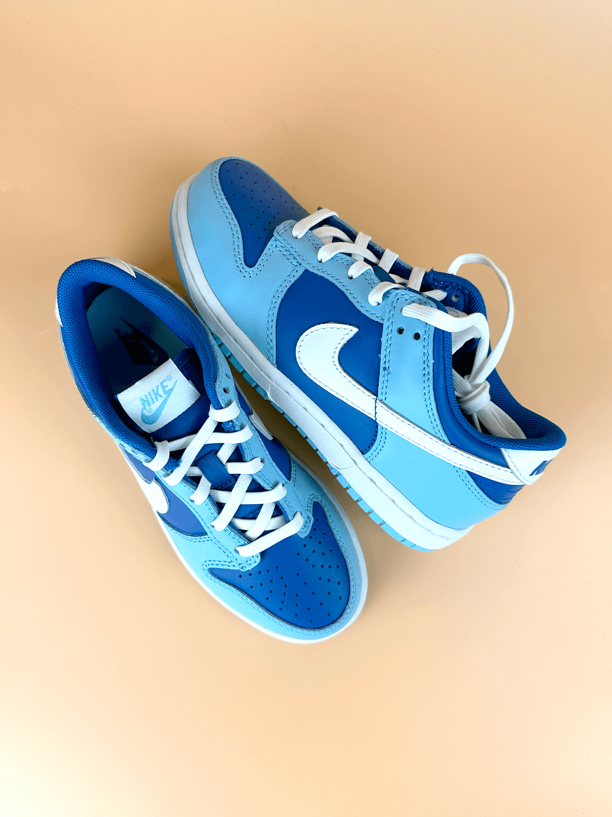 Nike Dunk Low Blueberry Preschool
